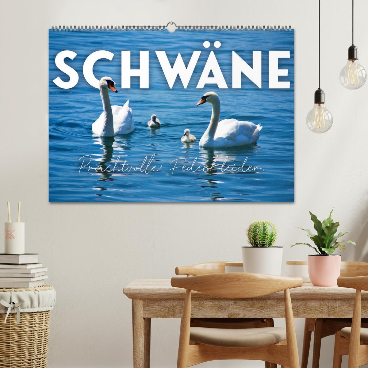 Bild: 9783383934131 | Schwäne - Prachtvolle Federkleider. (Wandkalender 2025 DIN A2...