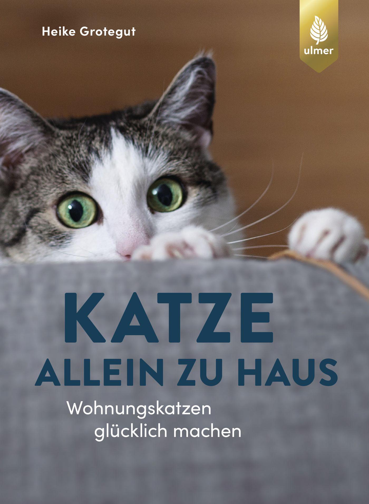 Cover: 9783818606503 | Katze allein zu Haus | Wohnungskatzen glücklich machen | Grotegut