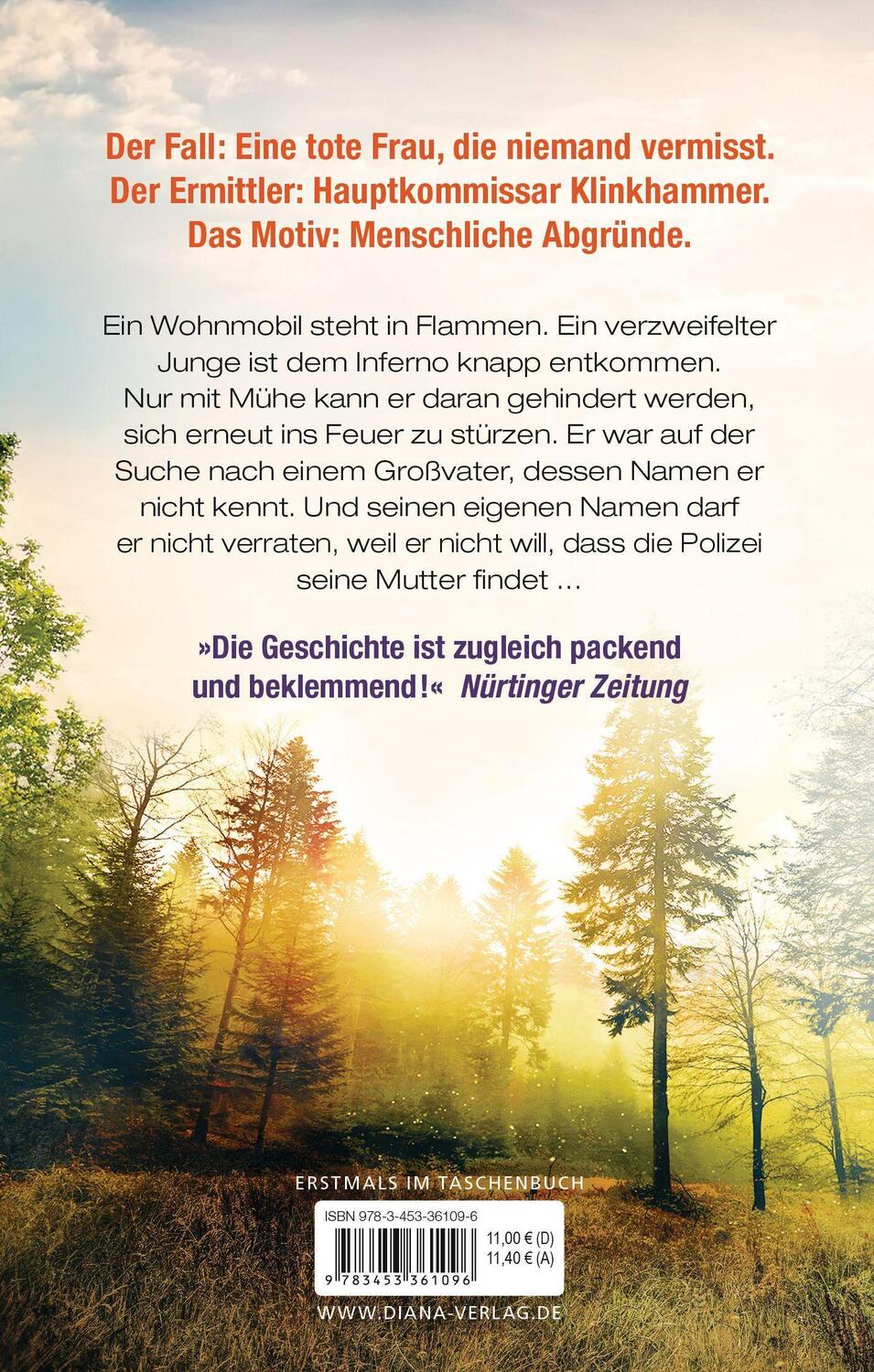 Bild: 9783453361096 | Nach dem Feuer | Roman | Petra Hammesfahr | Taschenbuch | 464 S.