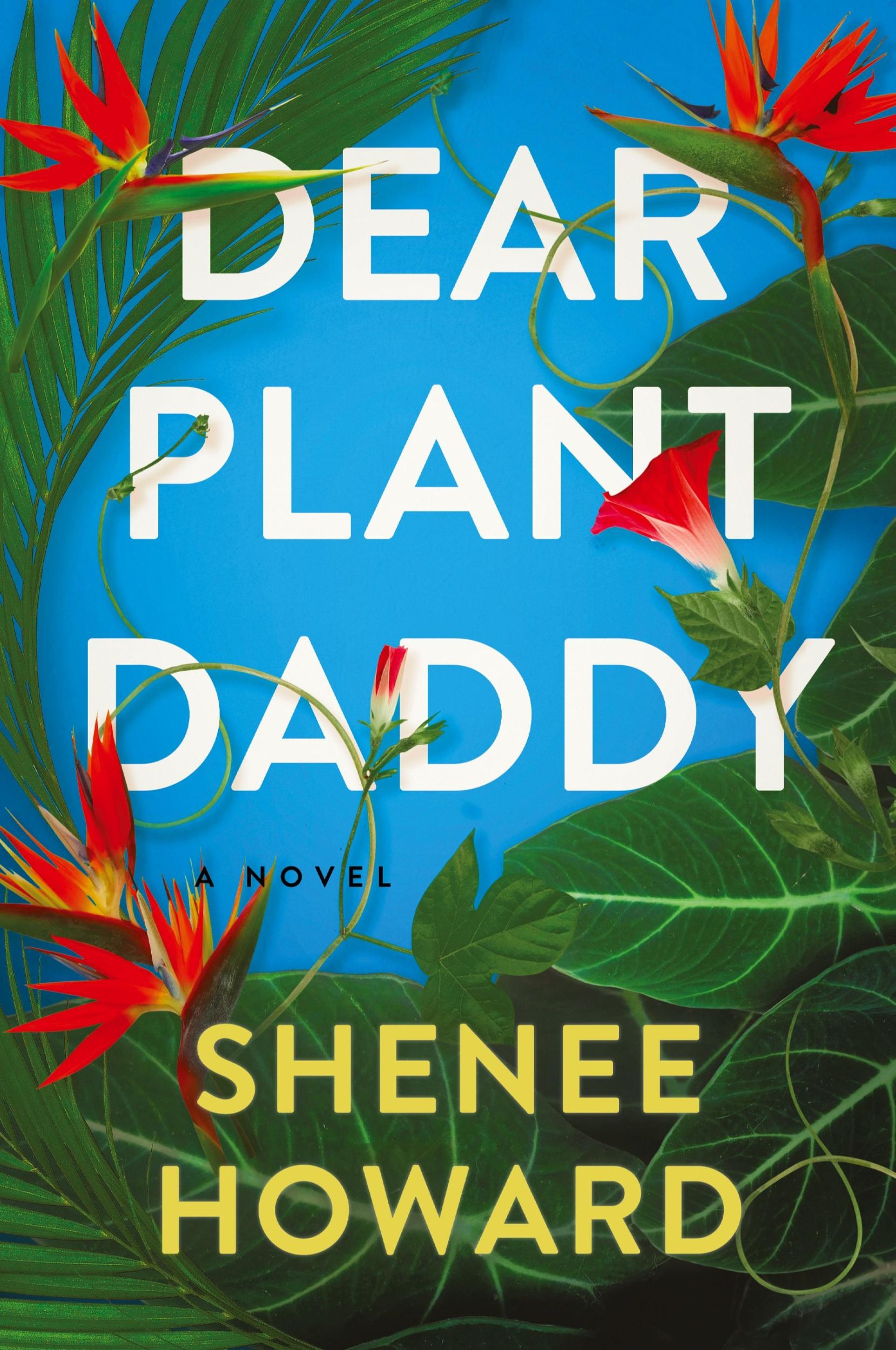 Cover: 9798868900006 | Dear Plant Daddy | Howard | Taschenbuch | Englisch | 2023