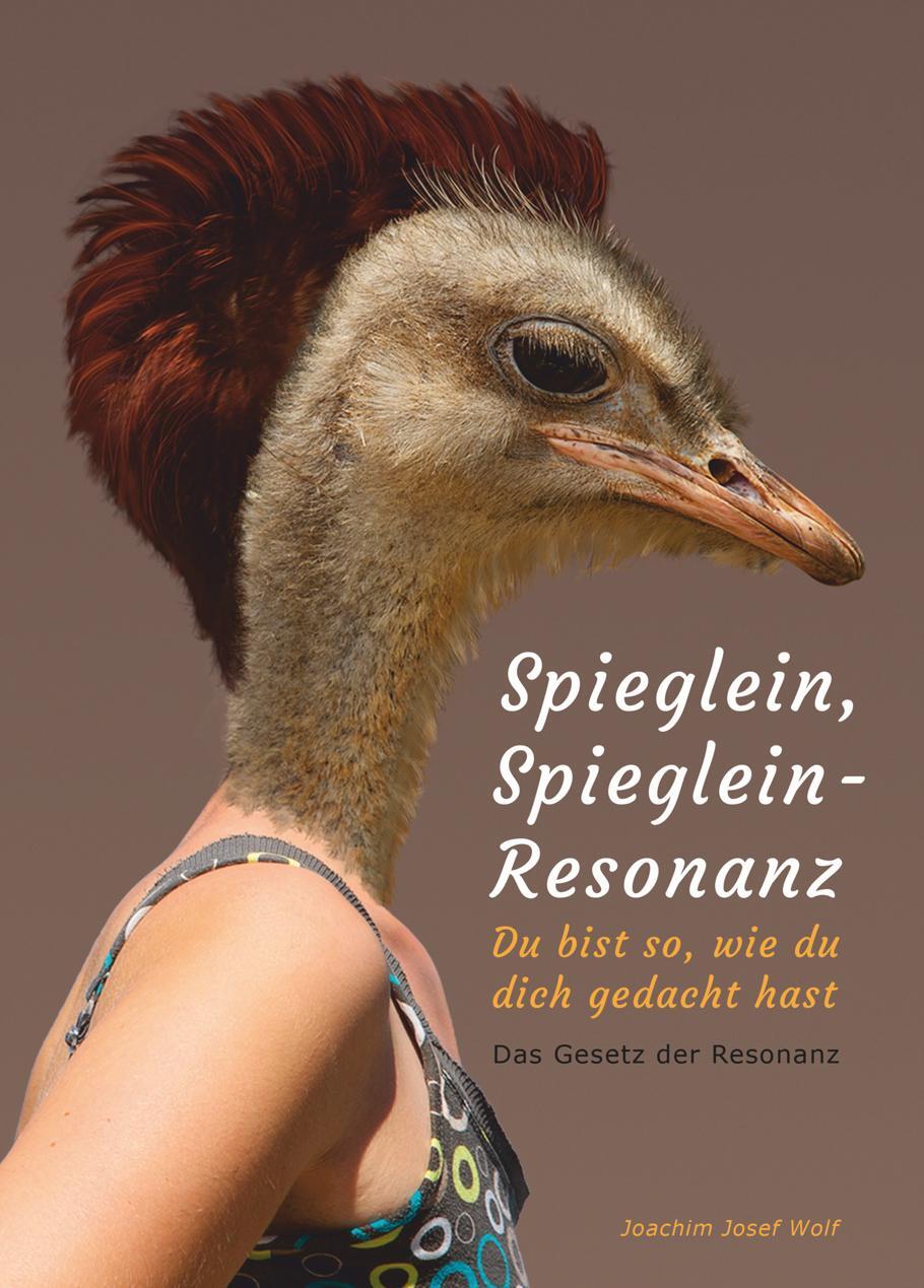 Cover: 9783000556753 | Spieglein, Spieglein - Resonanz | Du bist so, wie Du Dich gedacht hast