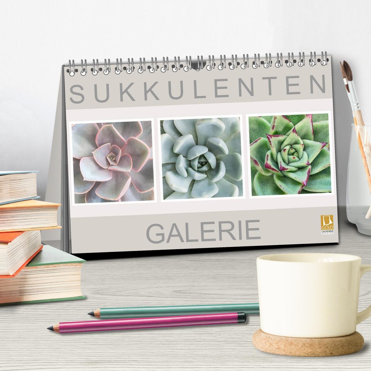 Bild: 9783435290574 | Sukkulenten Galerie (Tischkalender 2025 DIN A5 quer), CALVENDO...