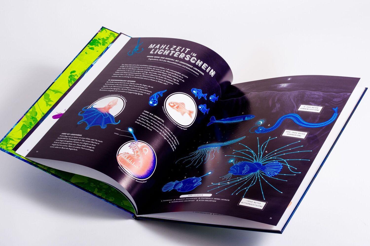 Bild: 9783570181133 | Glow - Das wundersame Leuchten der Natur | Jennifer N. R. Smith | Buch