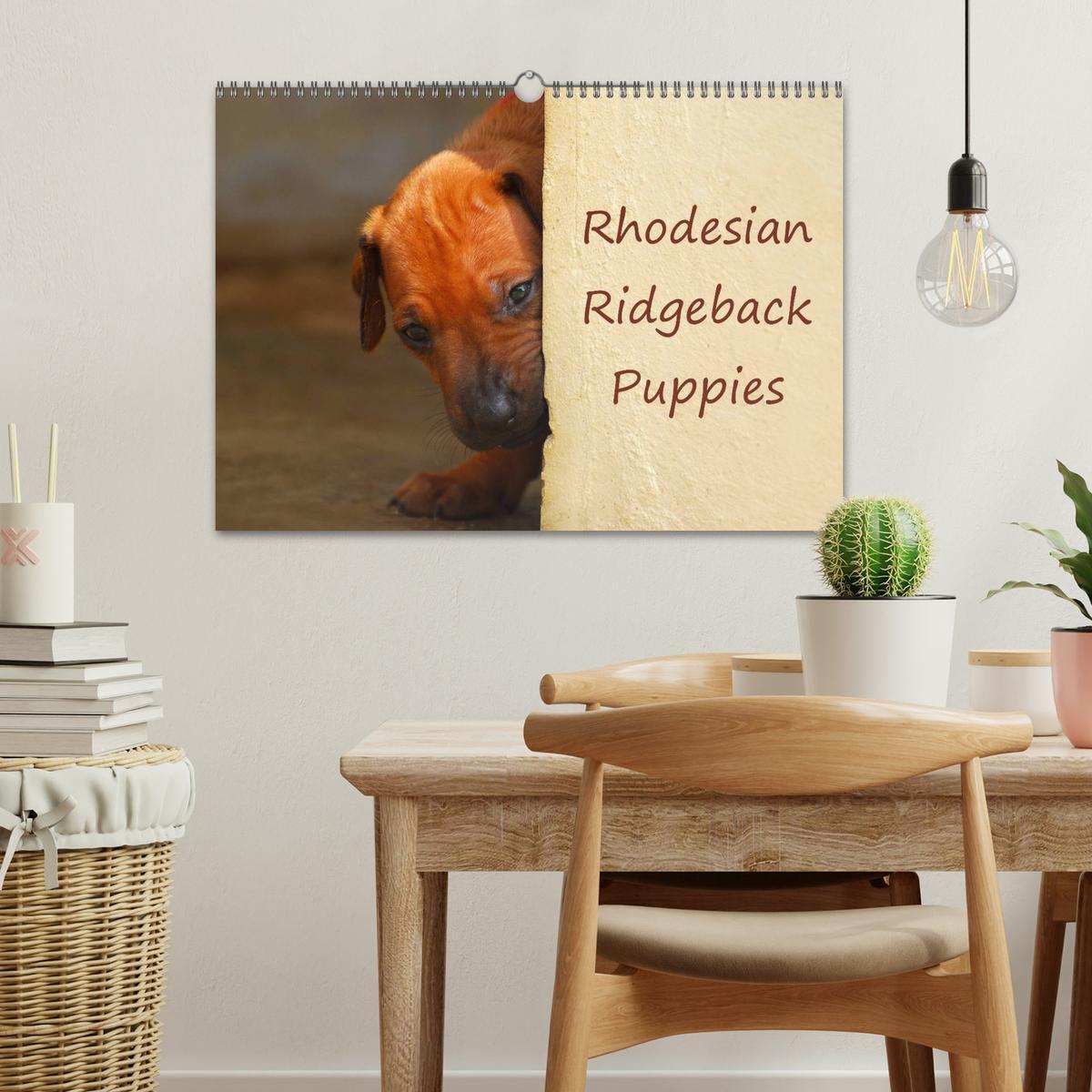 Bild: 9781325960538 | Rhodesian Ridgeback Puppies (Wall Calendar 2025 DIN A3 landscape),...