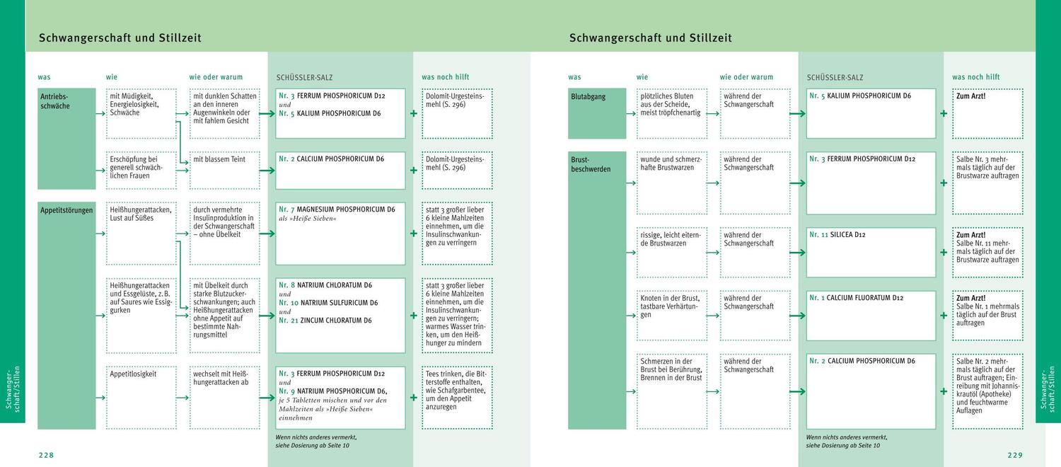 Bild: 9783833845680 | Maxi-Quickfinder Schüßler-Salze | Günther H. Heepen | Buch | 312 S.