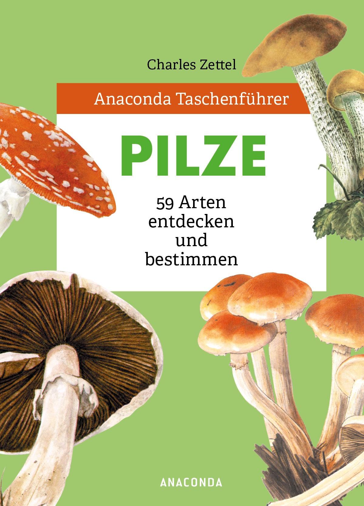 Cover: 9783730609002 | Anaconda Taschenführer Pilze. 59 Arten entdecken und bestimmen | Buch