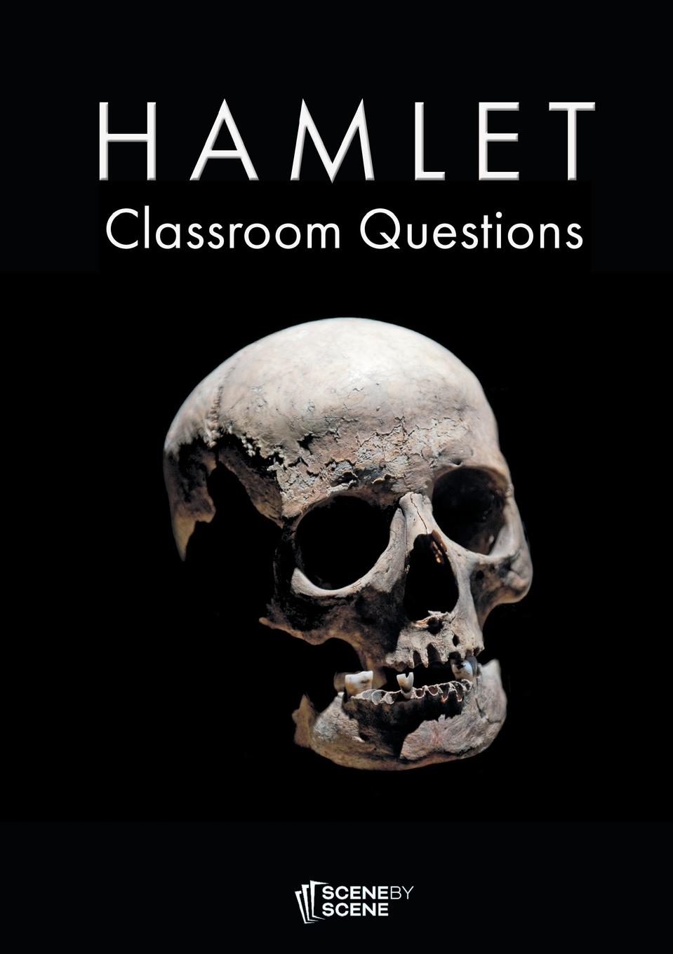 Cover: 9781910949238 | Hamlet Classroom Questions | Amy Farrell | Taschenbuch | Englisch