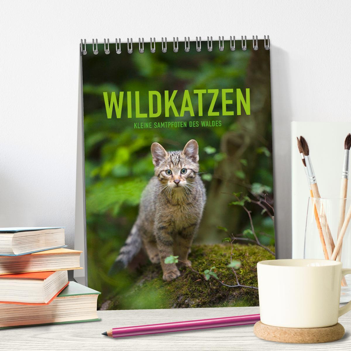 Bild: 9783435953240 | Wildkatzen - Kleine Samtpfoten des Waldes (Tischkalender 2025 DIN...