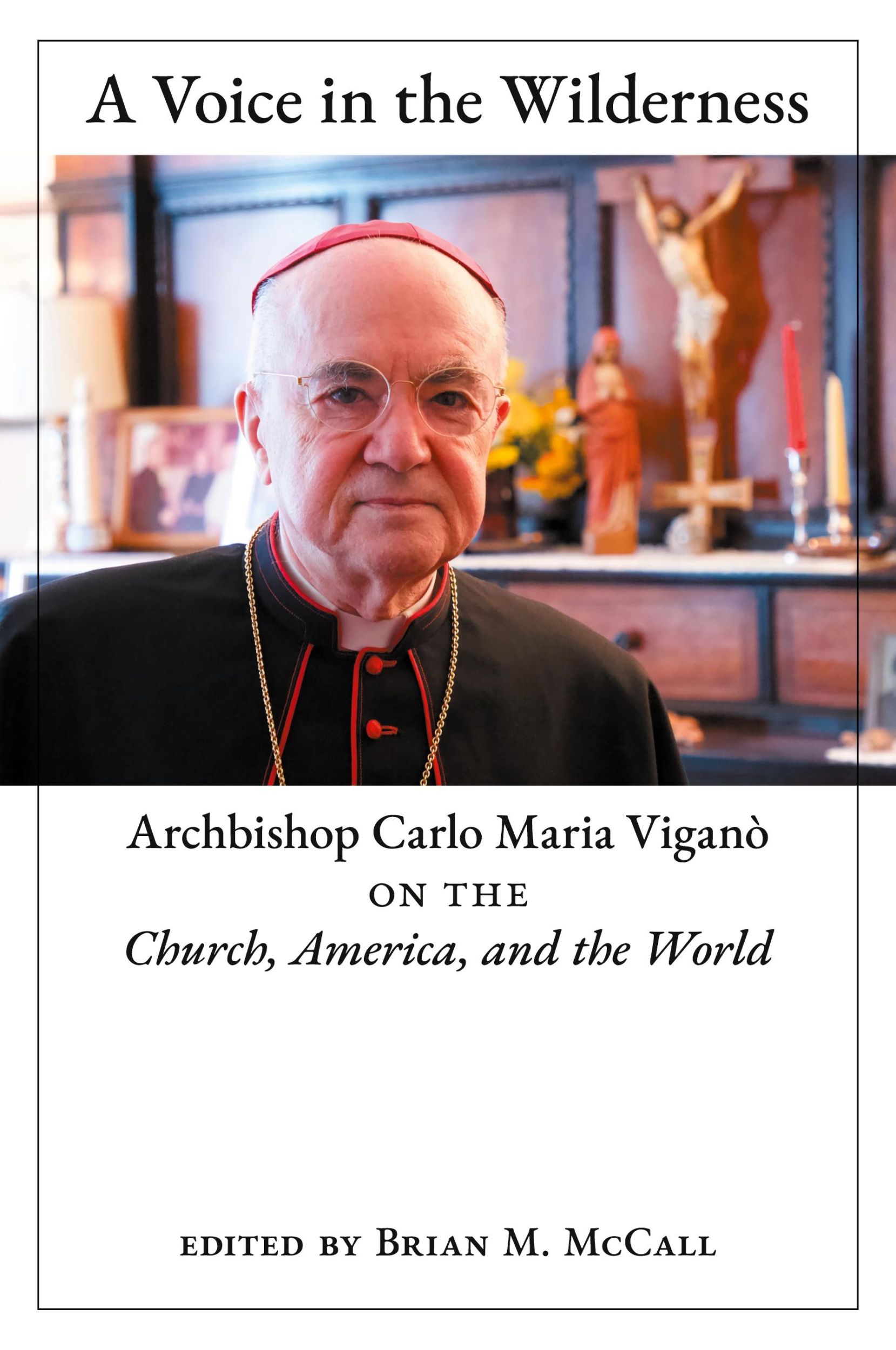 Cover: 9781621386964 | A Voice in the Wilderness | Archbishop Carlo Maria Viganò | Buch