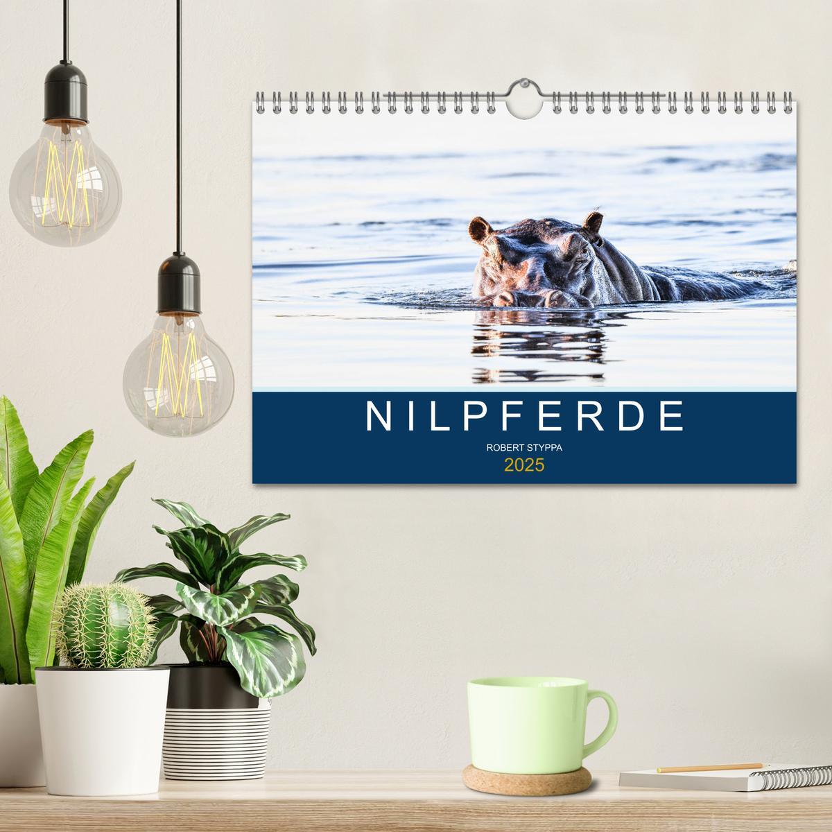 Bild: 9783435021772 | Nilpferde, Kolosse in Afrika (Wandkalender 2025 DIN A4 quer),...