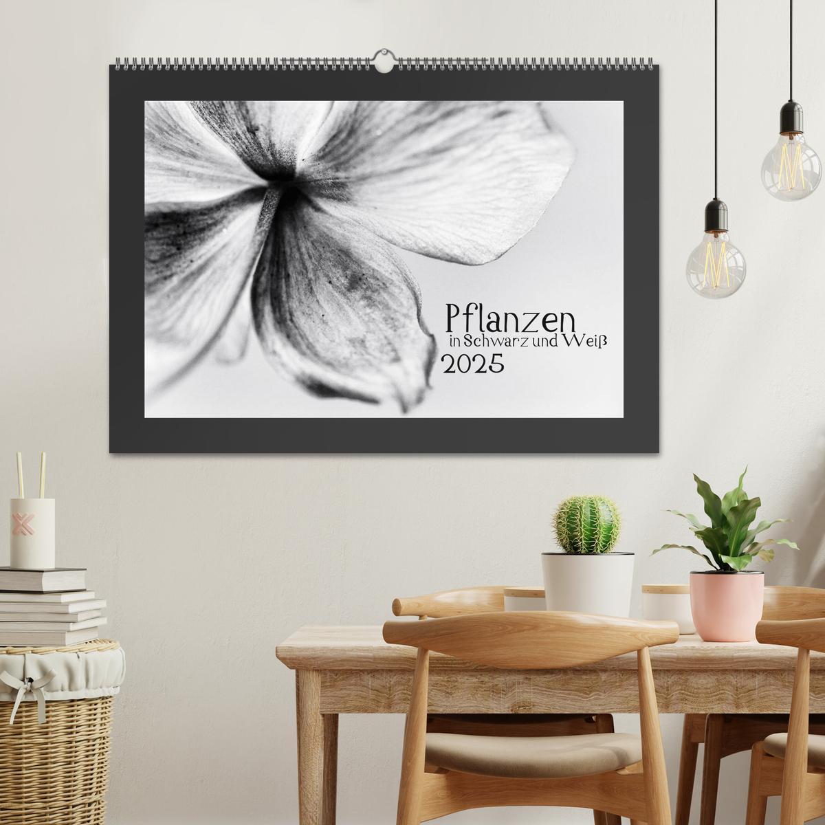 Bild: 9783435751426 | Pflanzen in Schwarz und Weiß (Wandkalender 2025 DIN A2 quer),...