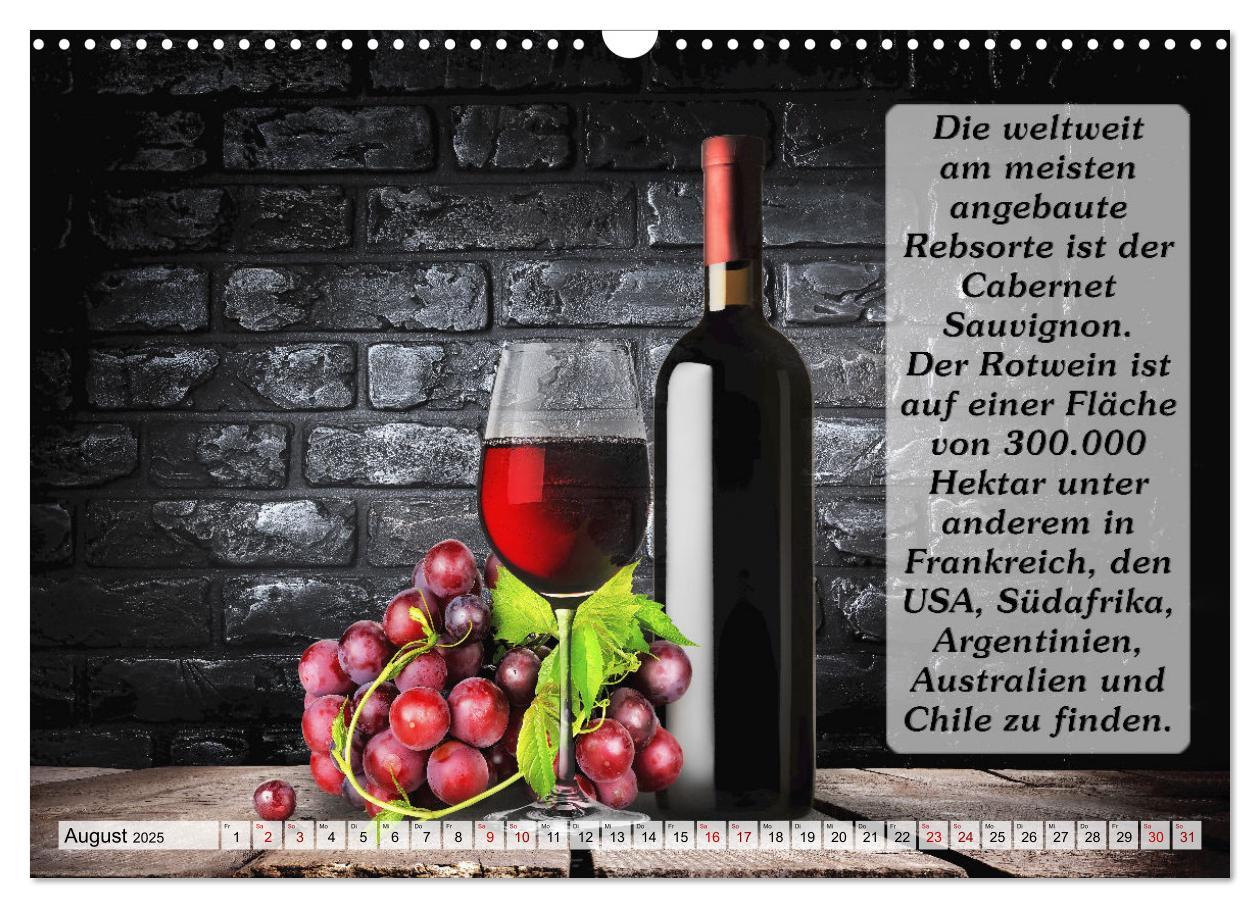 Bild: 9783435031979 | Wissenswertes über Wein (Wandkalender 2025 DIN A3 quer), CALVENDO...