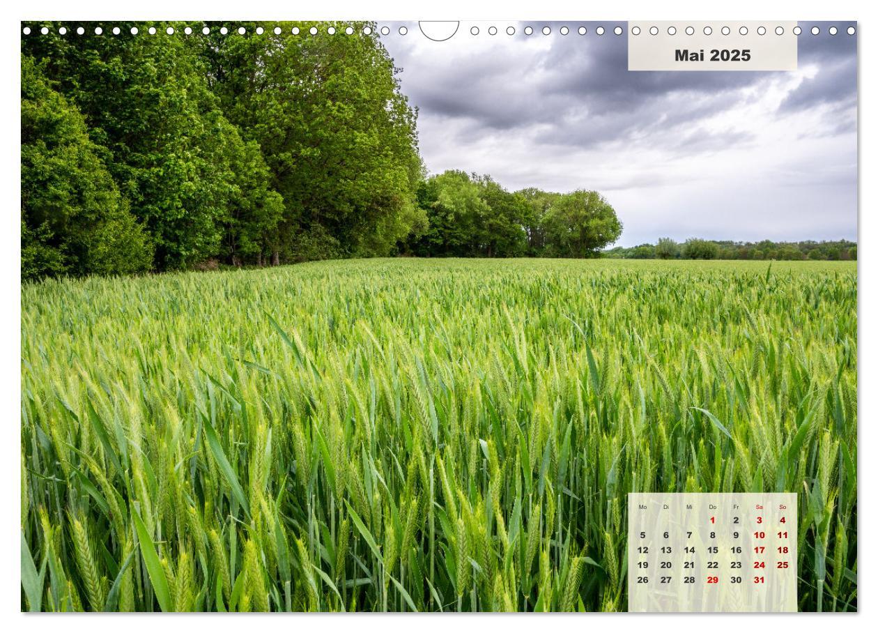 Bild: 9783383922626 | Ein Jahr Niederrhein Wiesen und Wälder (Wandkalender 2025 DIN A3...