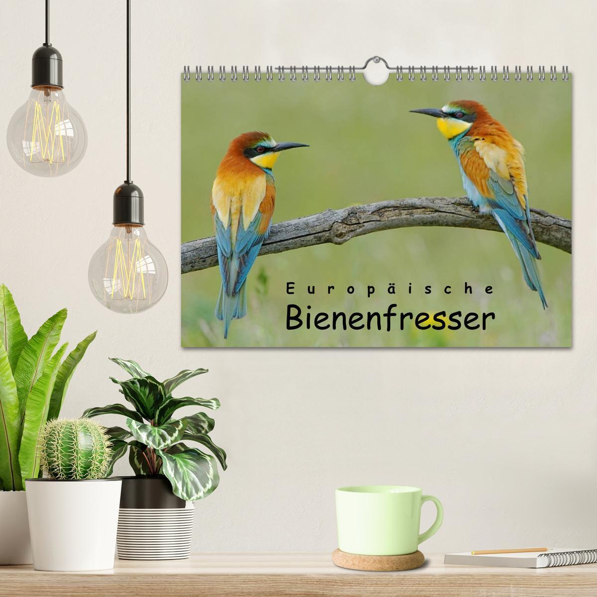 Bild: 9783435700837 | Europäische Bienenfresser (Wandkalender 2025 DIN A4 quer), CALVENDO...