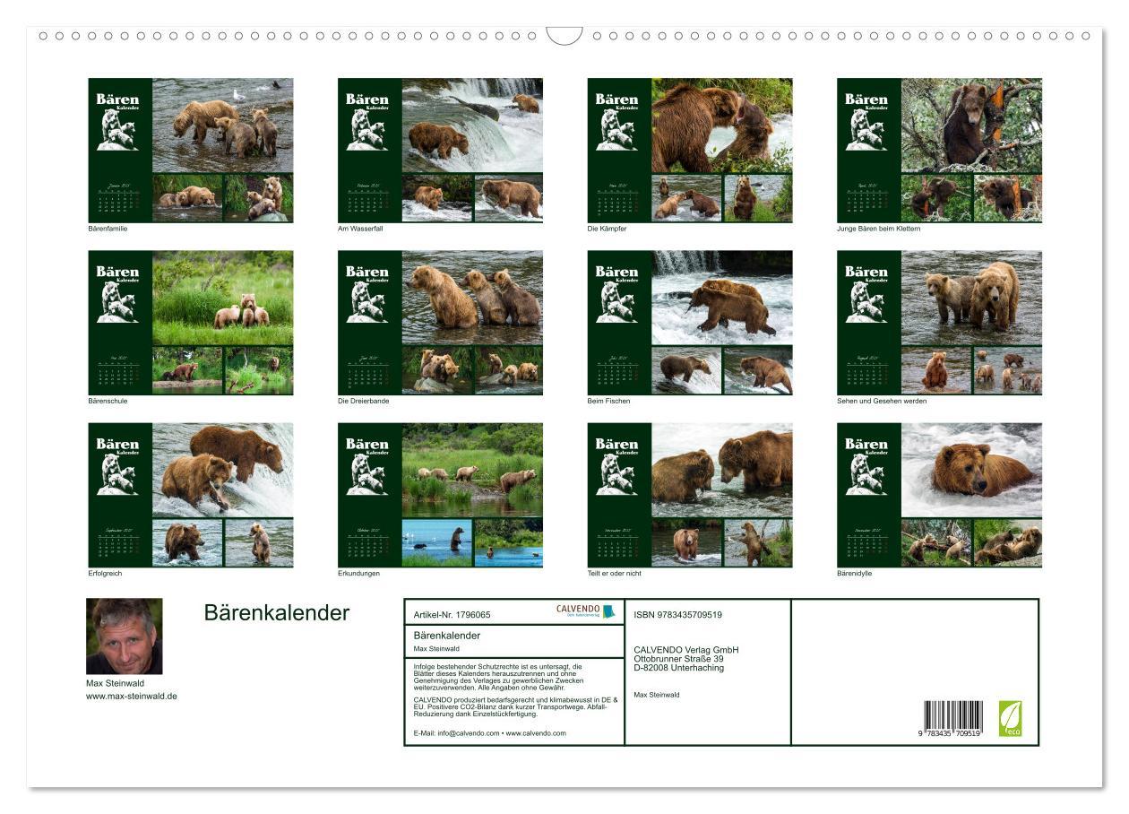 Bild: 9783435709519 | Bärenkalender (Wandkalender 2025 DIN A2 quer), CALVENDO Monatskalender