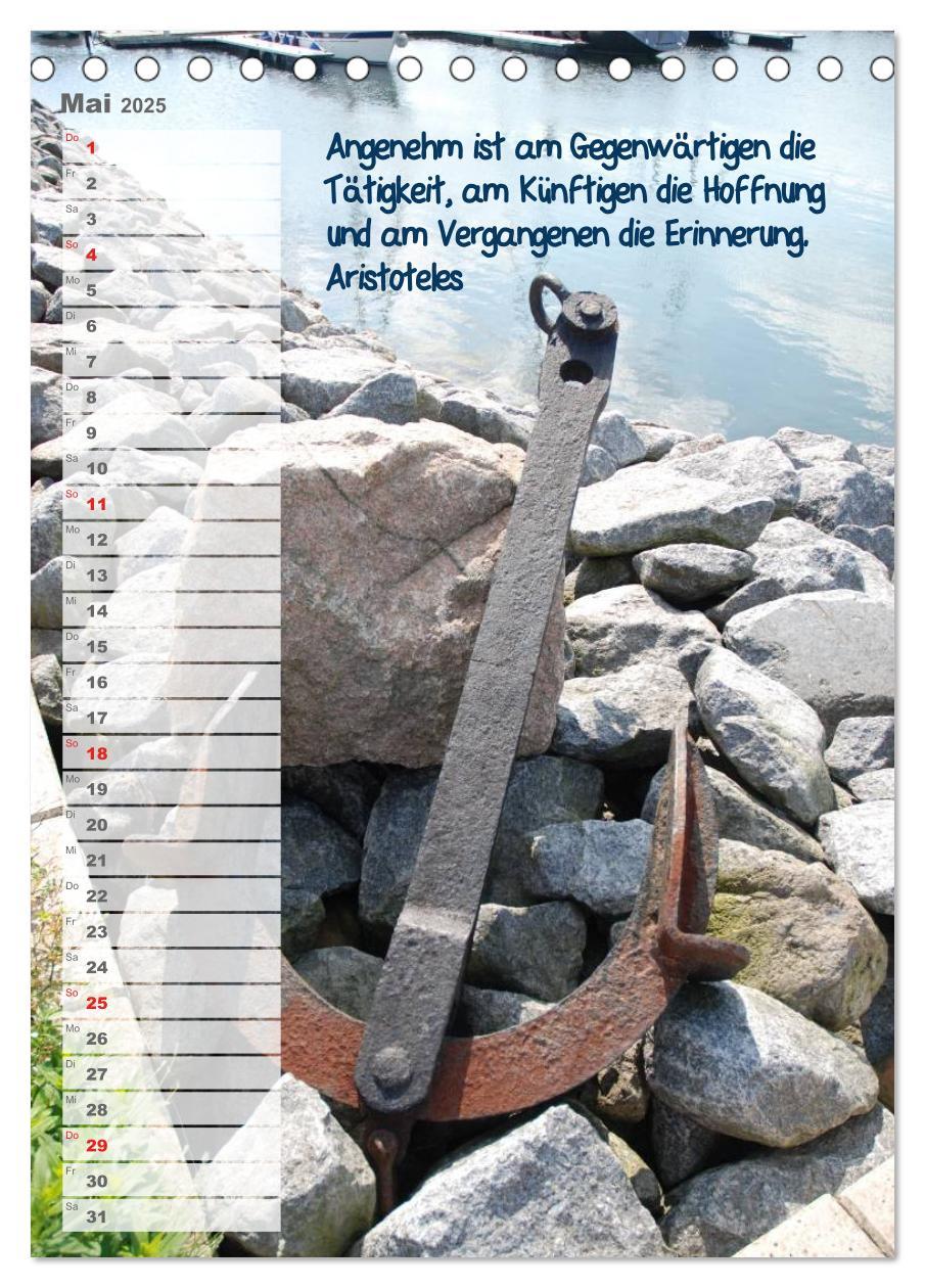 Bild: 9783457071960 | maritim inspiriert / Geburtstagskalender (Tischkalender 2025 DIN A5...