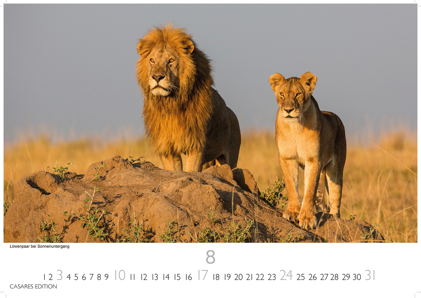 Bild: 9781835240618 | Kenia/Serengeti 2025 S 24x35 cm | Kalender | 14 S. | Deutsch | 2025