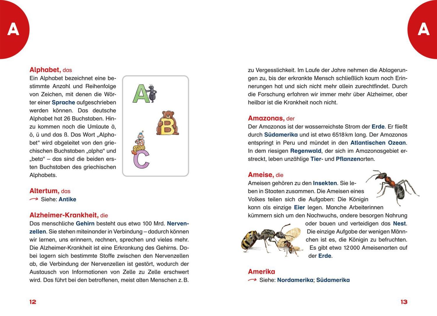 Bild: 9783551254931 | Das Grundschullexikon | Cordula Thörner | Taschenbuch | Deutsch | 2022