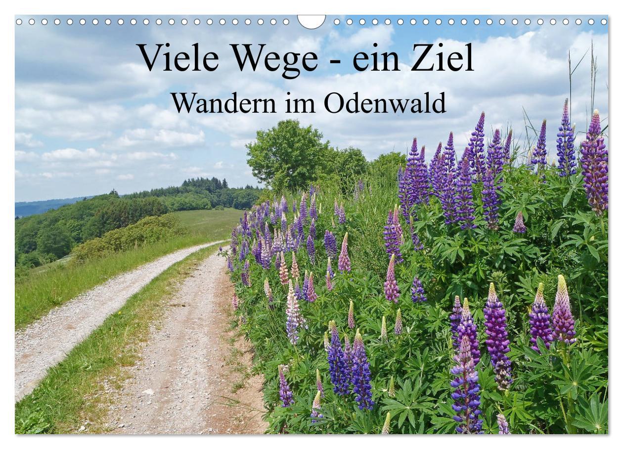 Cover: 9783435222315 | Viele Wege - ein Ziel Wandern im Odenwald (Wandkalender 2025 DIN A3...