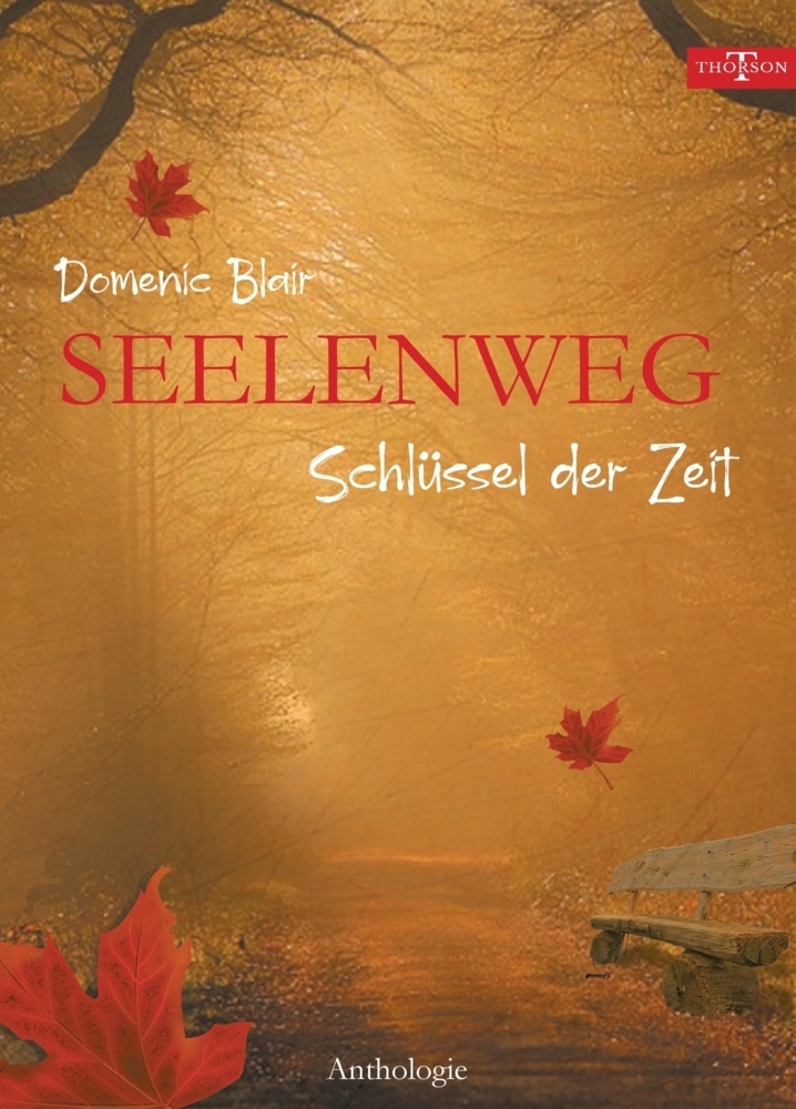 Cover: 9783347805941 | Seelenweg | Schlüssel der Zeit | Domenic Blair | Buch | 216 S. | 2022