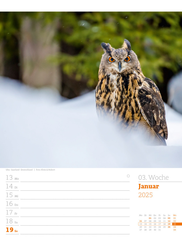 Bild: 9783838425979 | Unser Wald - Wochenplaner Kalender 2025 | Ackermann Kunstverlag | 2025