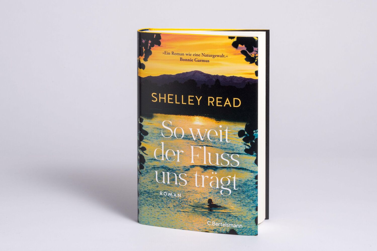 Bild: 9783570105139 | So weit der Fluss uns trägt | Shelley Read | Buch | 368 S. | Deutsch