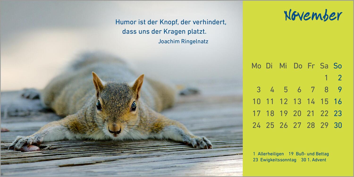 Bild: 9783579078717 | Helle Tage 2025 | Kalender | Guetersloher Kalender | Deutsch | 2025