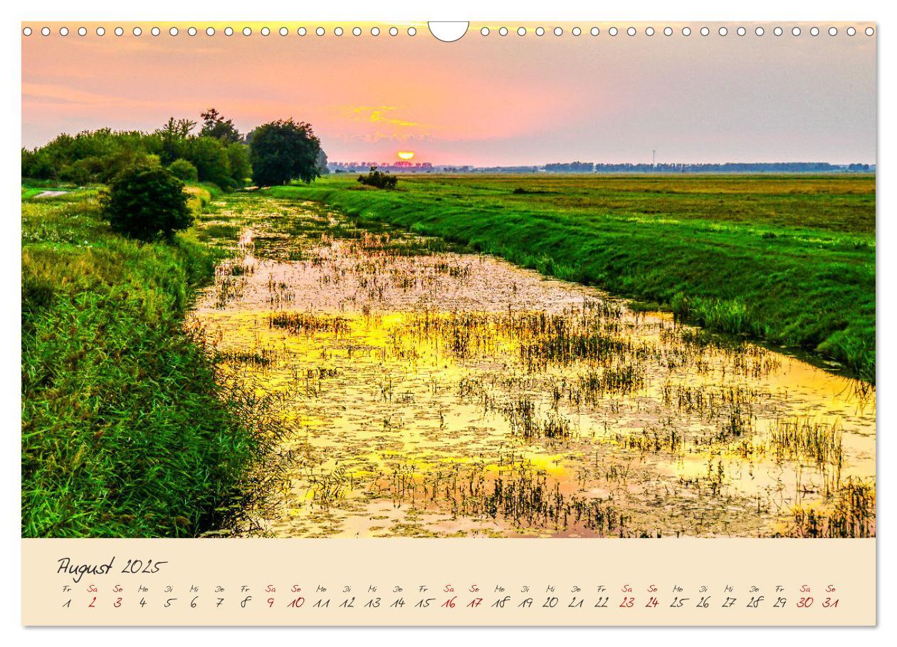 Bild: 9783383982484 | Friedländer Große Wiese (Wandkalender 2025 DIN A3 quer), CALVENDO...