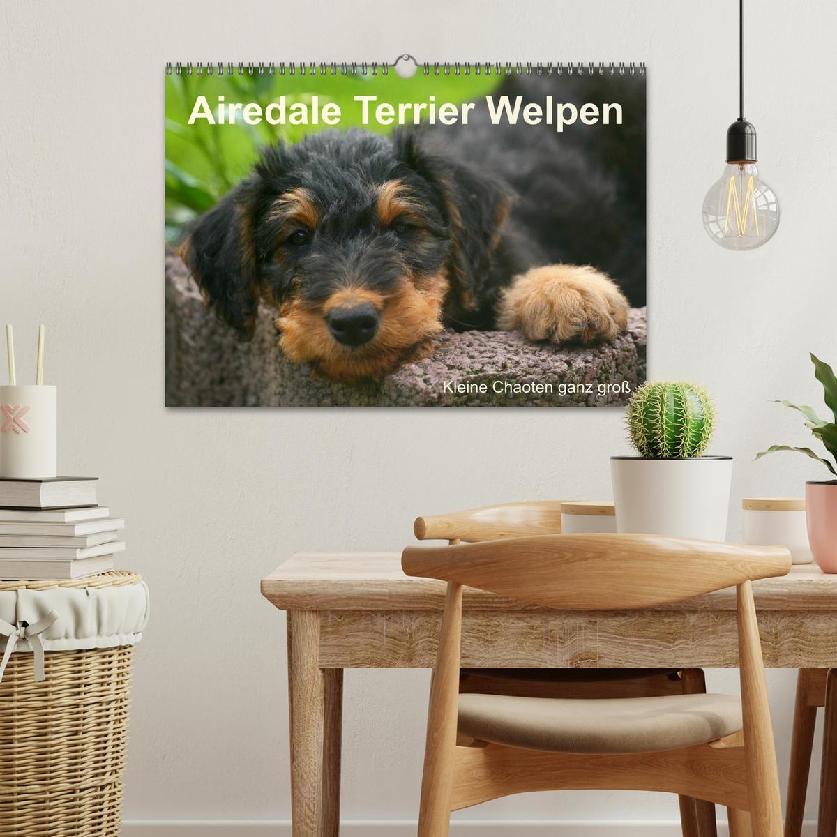 Bild: 9783435747290 | Airedale Terrier Welpen (Wandkalender 2025 DIN A3 quer), CALVENDO...