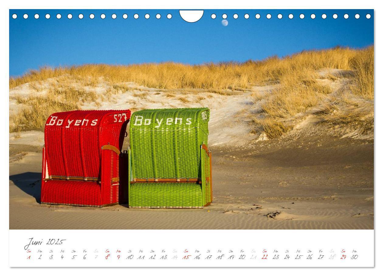 Bild: 9783435601738 | Amrum - Eine farbenfrohe Insellandschaft (Wandkalender 2025 DIN A4...