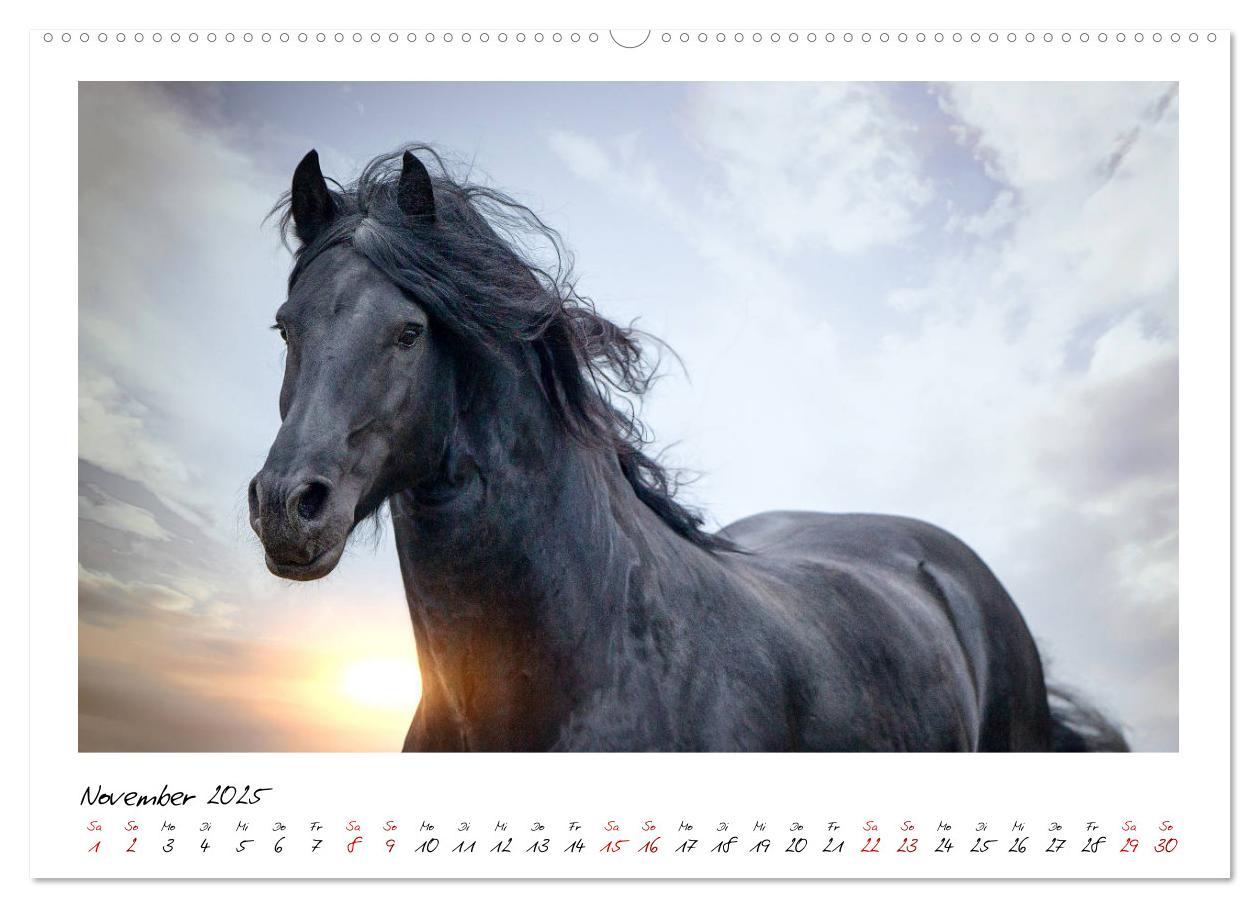 Bild: 9783435234127 | Friesen - stolze Giganten (hochwertiger Premium Wandkalender 2025...