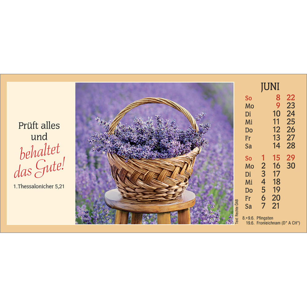 Bild: 9783754886557 | Auf allen Wegen 2025 | Autokalender zum Nachfüllen | Kalender | 13 S.