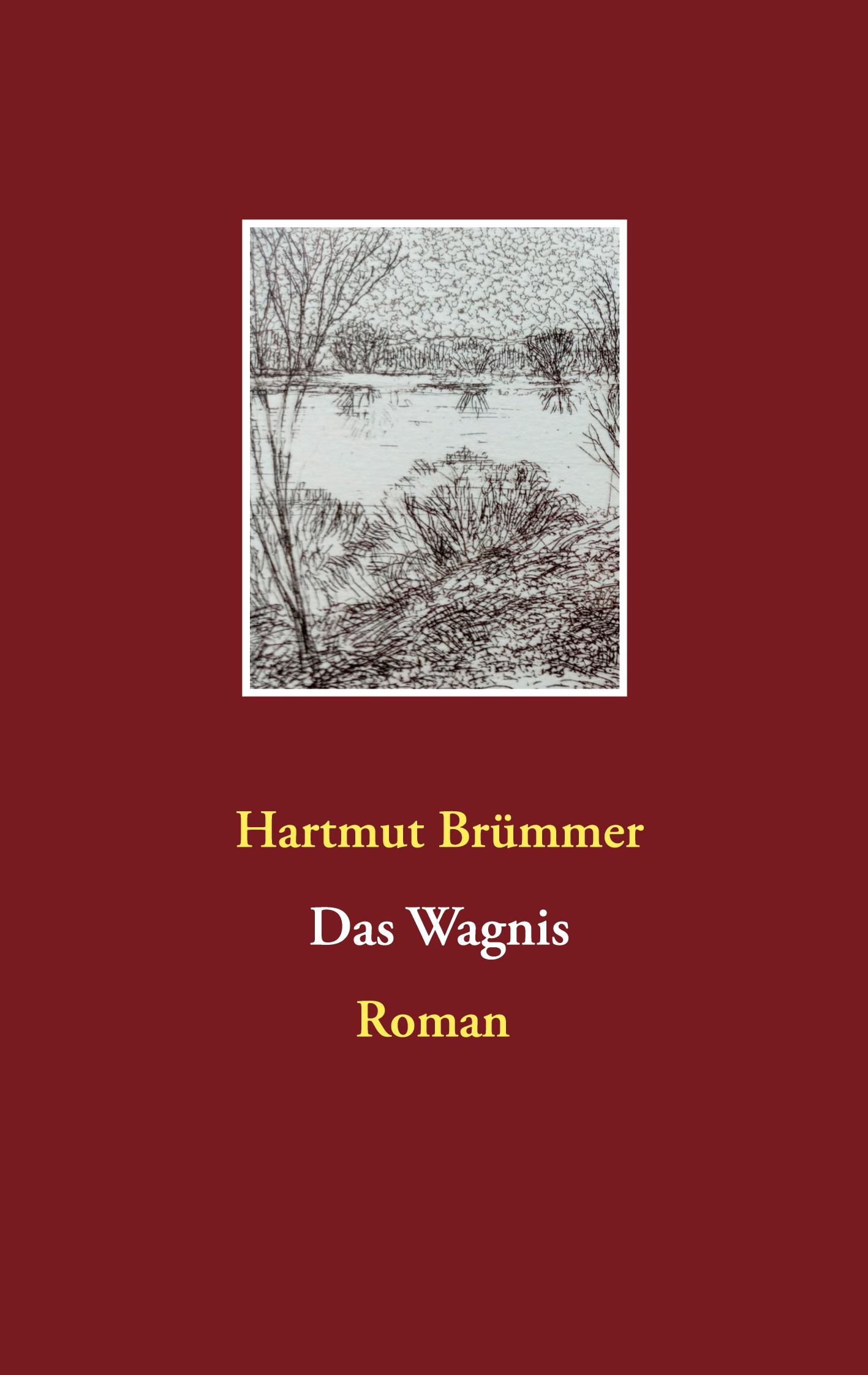 Cover: 9783752684384 | Das Wagnis | Hartmut Brümmer | Taschenbuch | Paperback | 172 S. | 2021