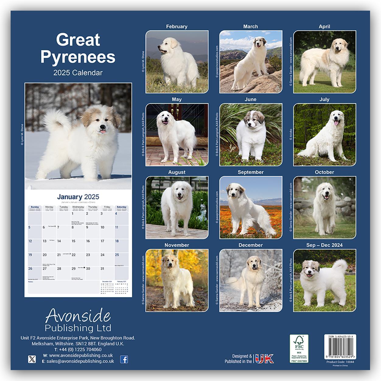 Rückseite: 9781804603529 | Great Pyrenees - Pyrenäenhunde 2025 - 16-Monatskalender | Ltd | 13 S.