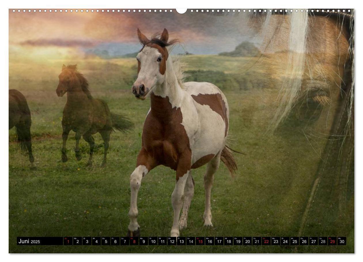 Bild: 9783435479337 | Western und Pferde (hochwertiger Premium Wandkalender 2025 DIN A2...