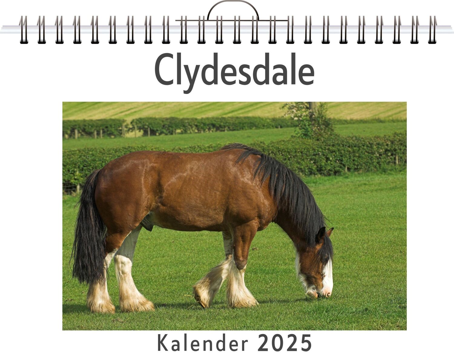 Cover: 9783759132253 | Clydesdale | Elias Hartmann | Kalender | Kalender | 14 S. | Deutsch