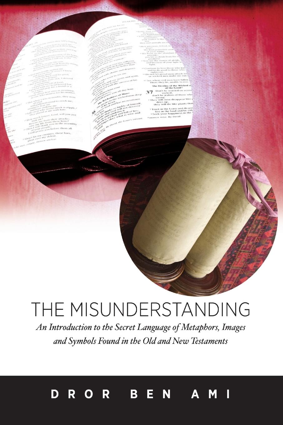 Cover: 9781447769927 | The Misunderstanding | Dror Ben Ami | Taschenbuch | Englisch | 2012