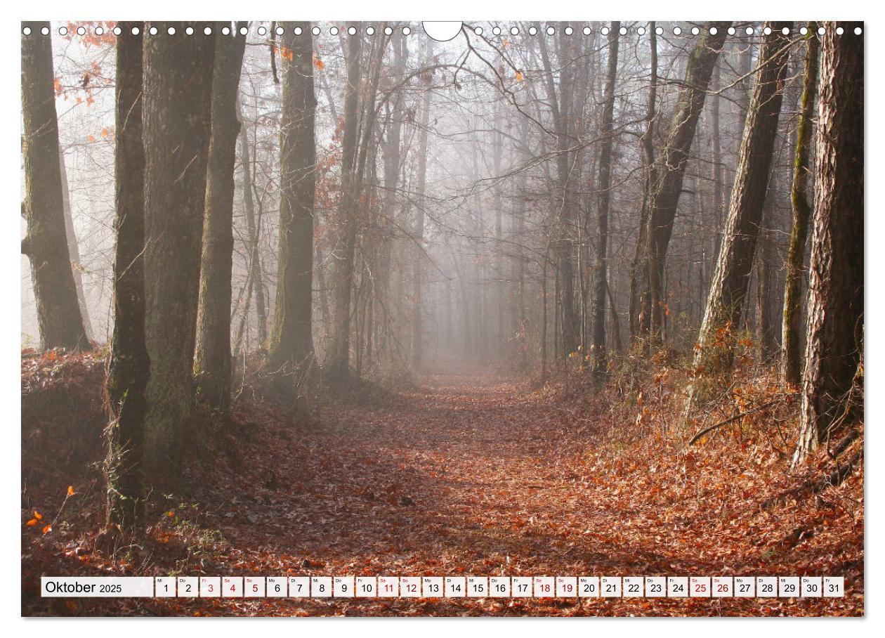 Bild: 9783435443895 | Göttererwachen. Die Natur im mystischen Nebel (Wandkalender 2025...