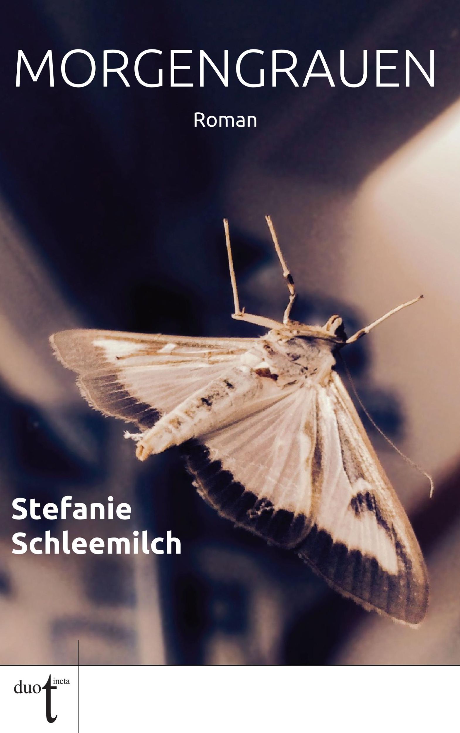 Cover: 9783946086345 | Morgengrauen | Stefanie Schleemilch | Taschenbuch | 276 S. | Deutsch