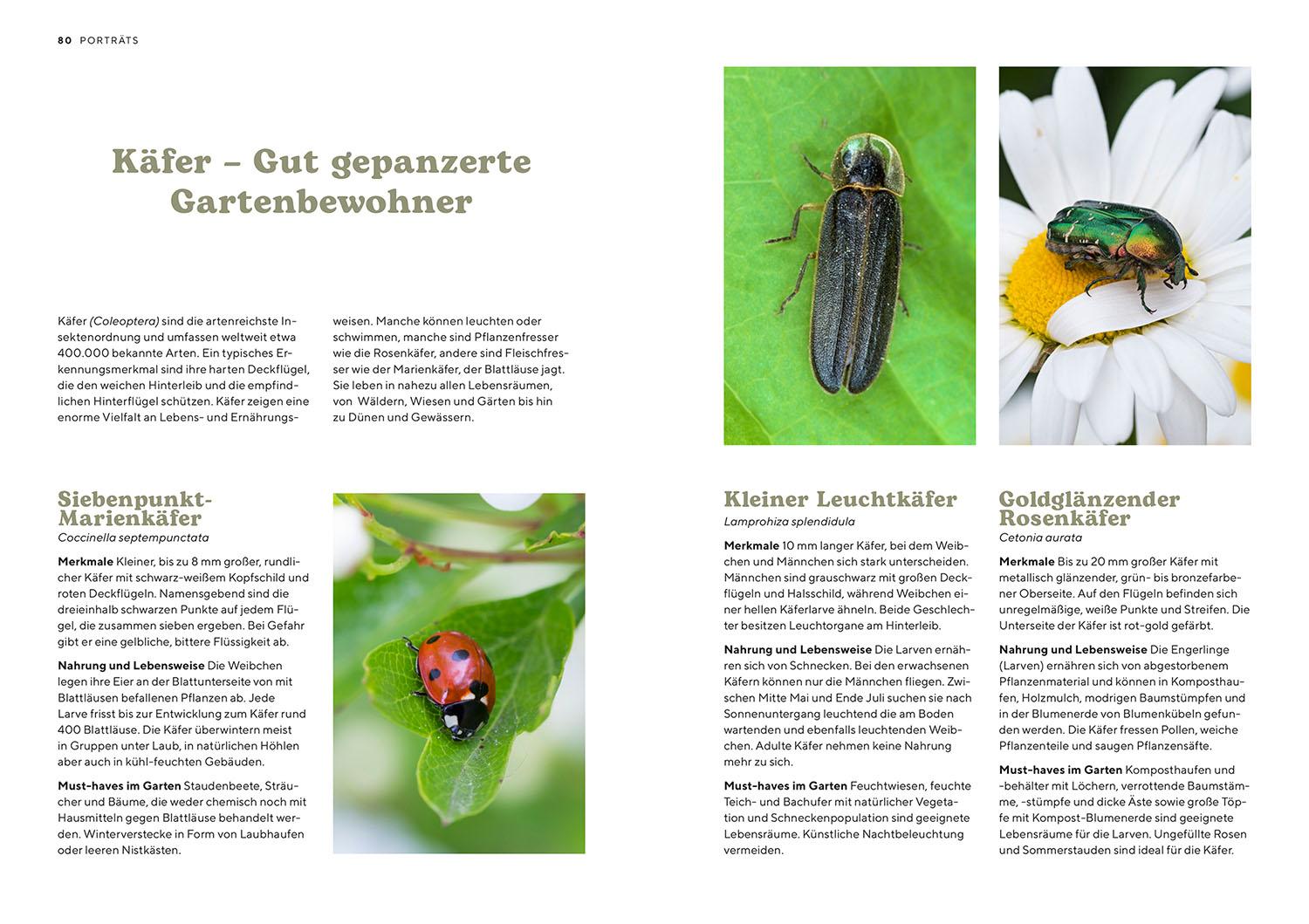 Bild: 9783440178256 | Mein Insektenparadies | Mareike Fedders | Taschenbuch | 96 S. | 2025