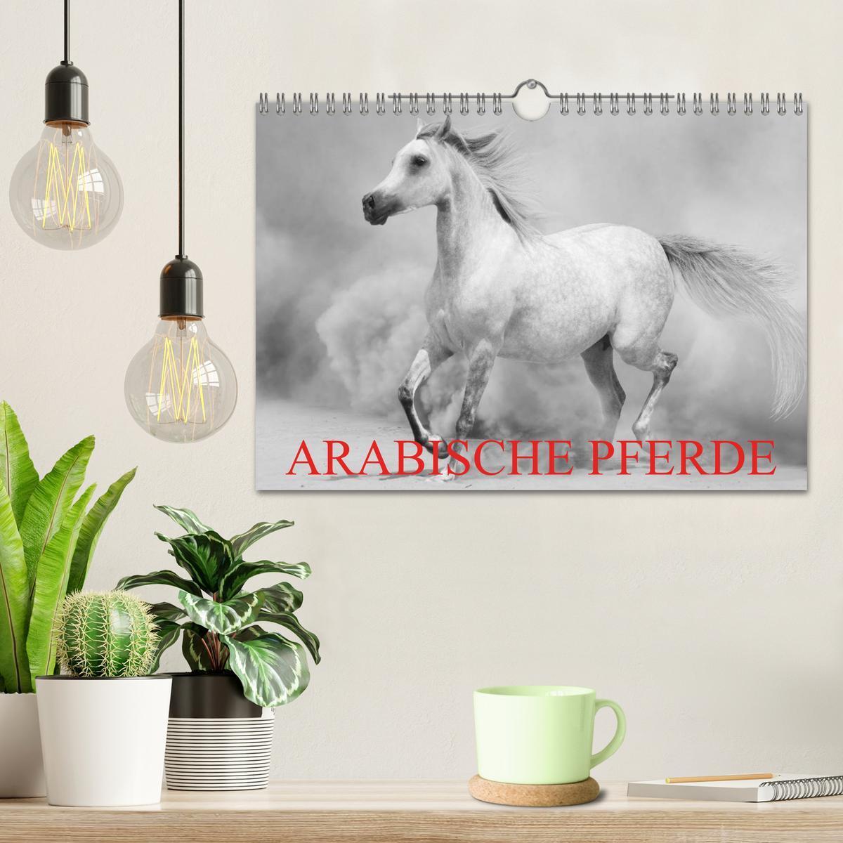 Bild: 9783435685622 | Arabische Pferde (Wandkalender 2025 DIN A4 quer), CALVENDO...