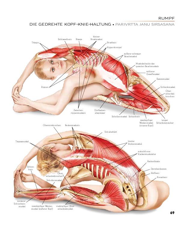 Bild: 9783966643849 | YOGA - Atlas der Anatomie | Svenja Tengs | Buch | 256 S. | Deutsch