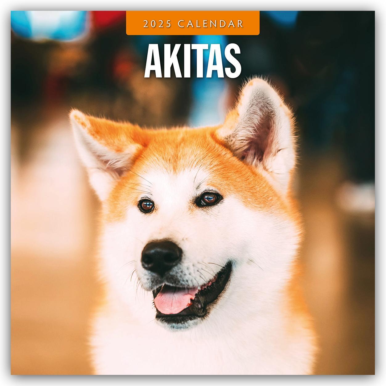 Cover: 9781804424179 | Akitas - Akita 2025 - 16-Monatskalender | Robin Red | Kalender | 14 S.