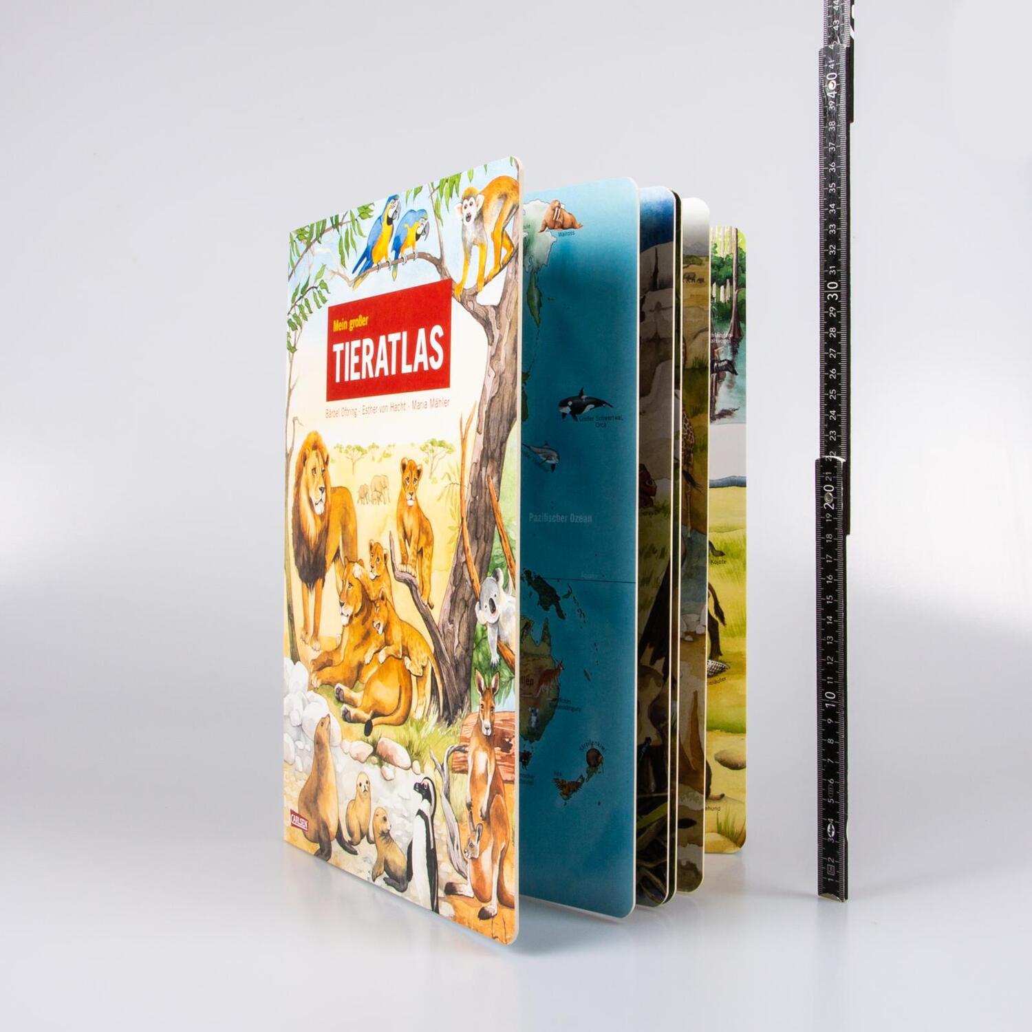 Bild: 9783551254627 | Mein großer Tieratlas | Bärbel Oftring | Buch | 18 S. | Deutsch | 2022