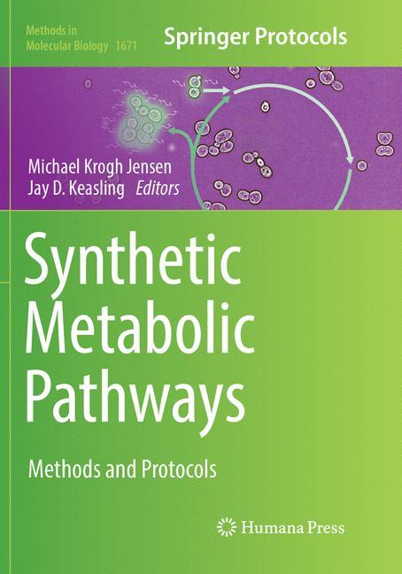 Cover: 9781493984459 | Synthetic Metabolic Pathways | Methods and Protocols | Taschenbuch