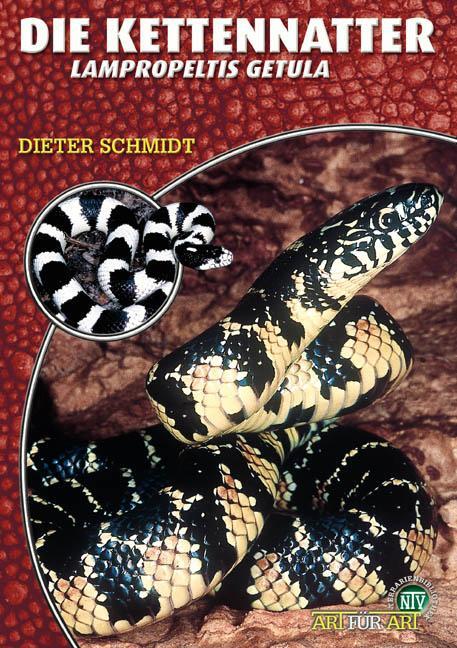 Cover: 9783937285030 | Die Kettennatter | Lampropeltis getula | Dieter Schmidt | Taschenbuch