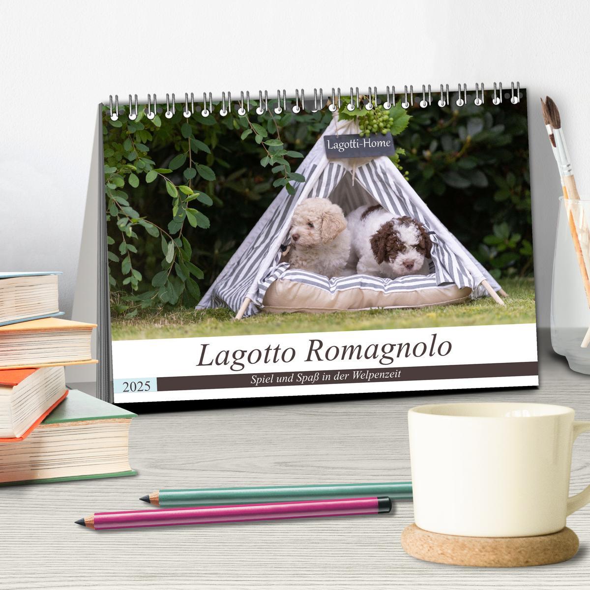 Bild: 9783383999031 | Lagotto Romagnolo - Spiel und Spaß in der Welpenzeit (Tischkalender...