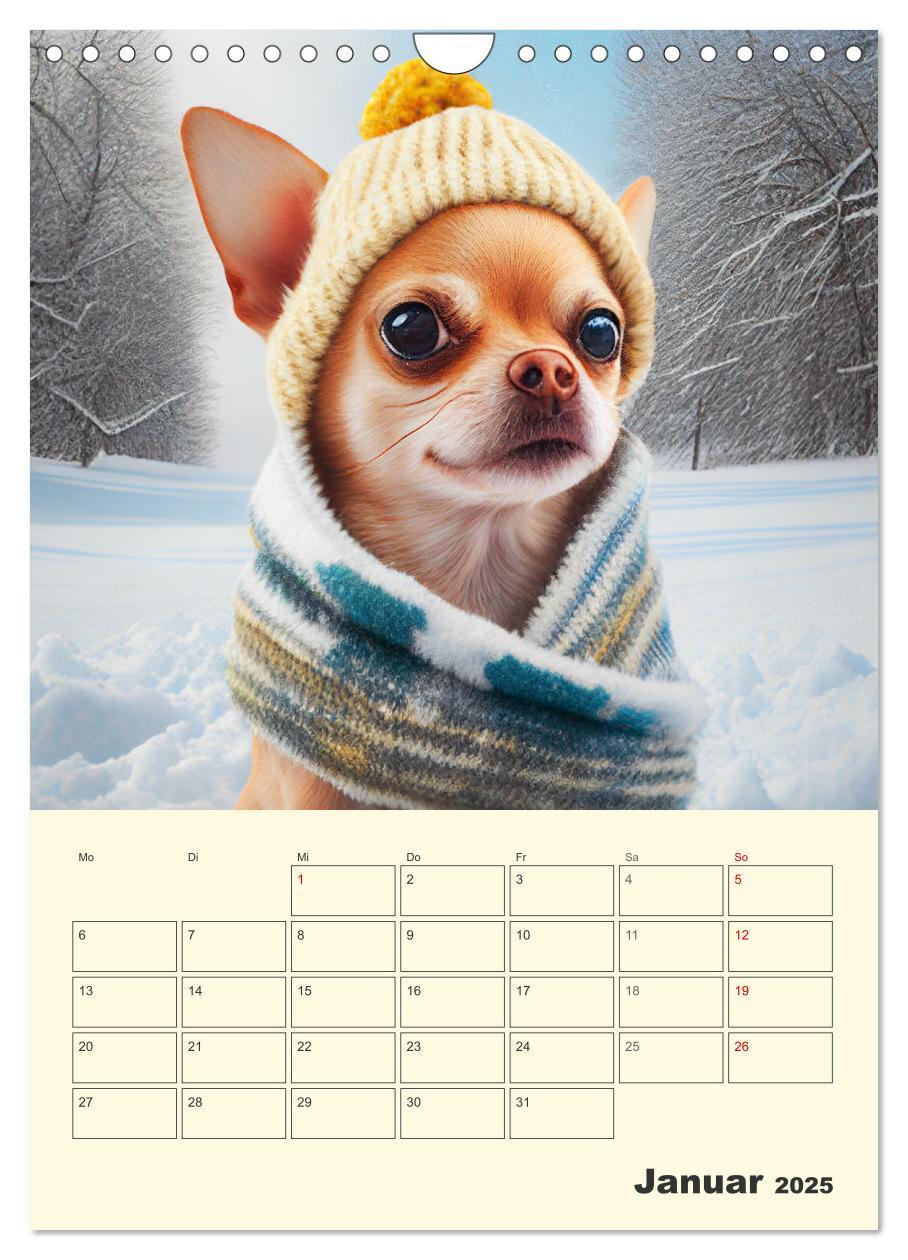 Bild: 9783435871766 | Witzige Chihuahuas. Glückliche Temperamentbündel (Wandkalender 2025...