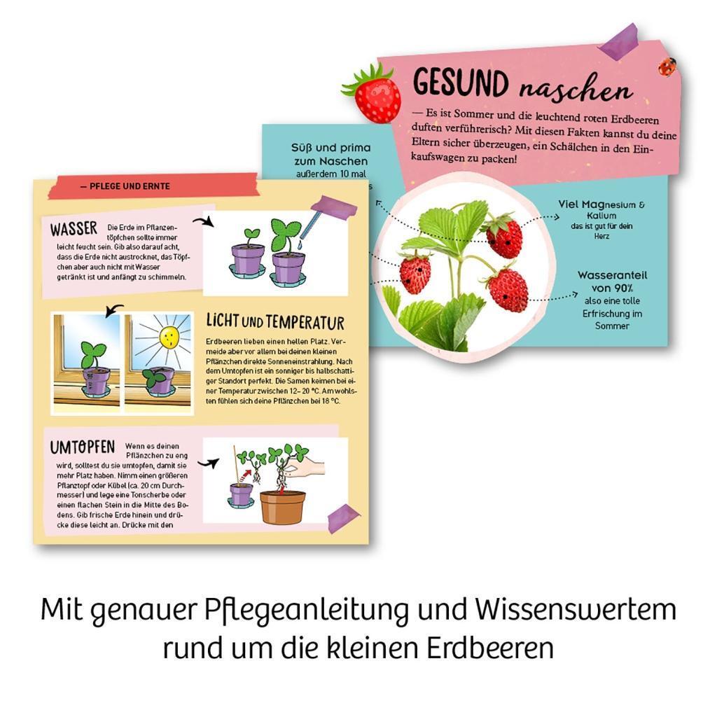 Bild: 4002051657819 | Feen-Erdbeeren | Experimentierkasten | Spiel | Deutsch | 2020 | Kosmos