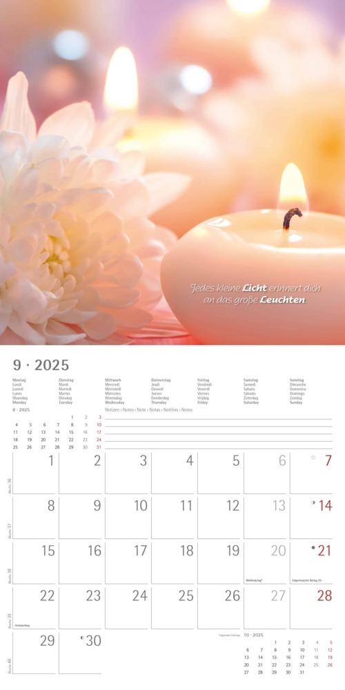 Bild: 4251732340858 | Alpha Edition - Zen 2025 Broschürenkalender, 30x30cm, Wandkalender...